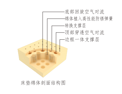 圖片11